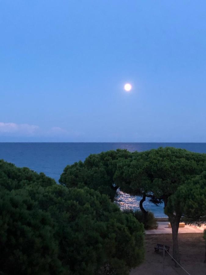 Apartment Direkt Am Strand 블랑스 외부 사진